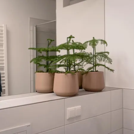 Altstadt Apartmán Řezno